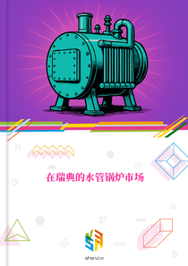 在瑞典的水管锅炉市场