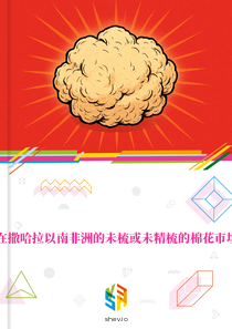 在撒哈拉以南非洲的未梳或未精梳的棉花市场