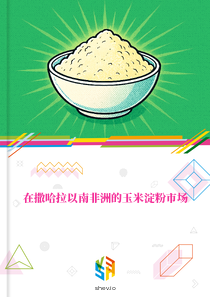 在撒哈拉以南非洲的玉米淀粉市场