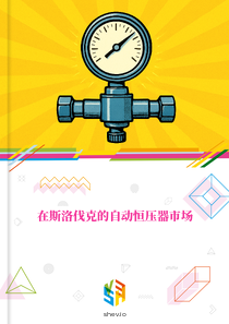 在斯洛伐克的自动恒压器市场