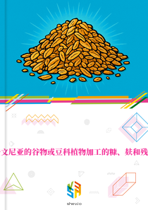 在斯洛文尼亚的谷物或豆科植物加工的糠、麸和残渣市场