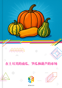 在土耳其的南瓜、笋瓜和葫芦的市场