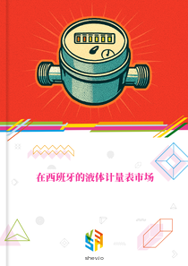 在西班牙的液体计量表市场