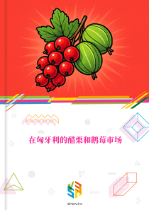在匈牙利的醋栗和鹅莓市场