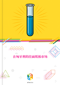 在匈牙利的挂面纸板市场