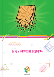 在匈牙利的溶解木浆市场