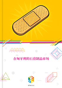 在匈牙利的石膏制品市场