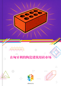 在匈牙利的陶瓷建筑用砖市场