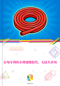 在匈牙利的未增强橡胶管，无接头市场