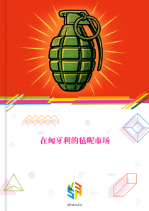 在匈牙利的毡呢市场