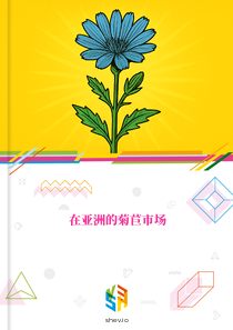 在亚洲的菊苣市场