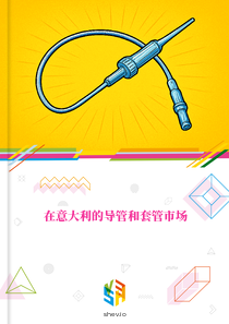 在意大利的导管和套管市场