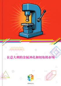 在意大利的金属冲孔和切角机市场