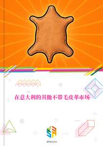 在意大利的其他不带毛皮革市场