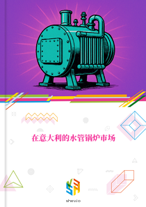 在意大利的水管锅炉市场
