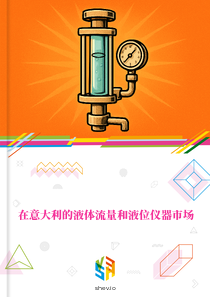 在意大利的液体流量和液位仪器市场