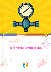 在意大利的自动恒压器市场