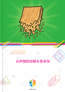在伊朗的溶解木浆市场
