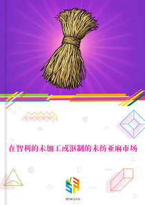 在智利的未加工或沤制的未纺亚麻市场