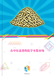 在中东北非的化学木浆市场