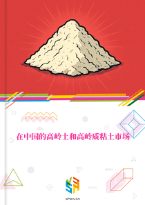 在中国的高岭土和高岭质粘土市场