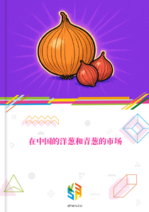 在中国的洋葱和青葱的市场