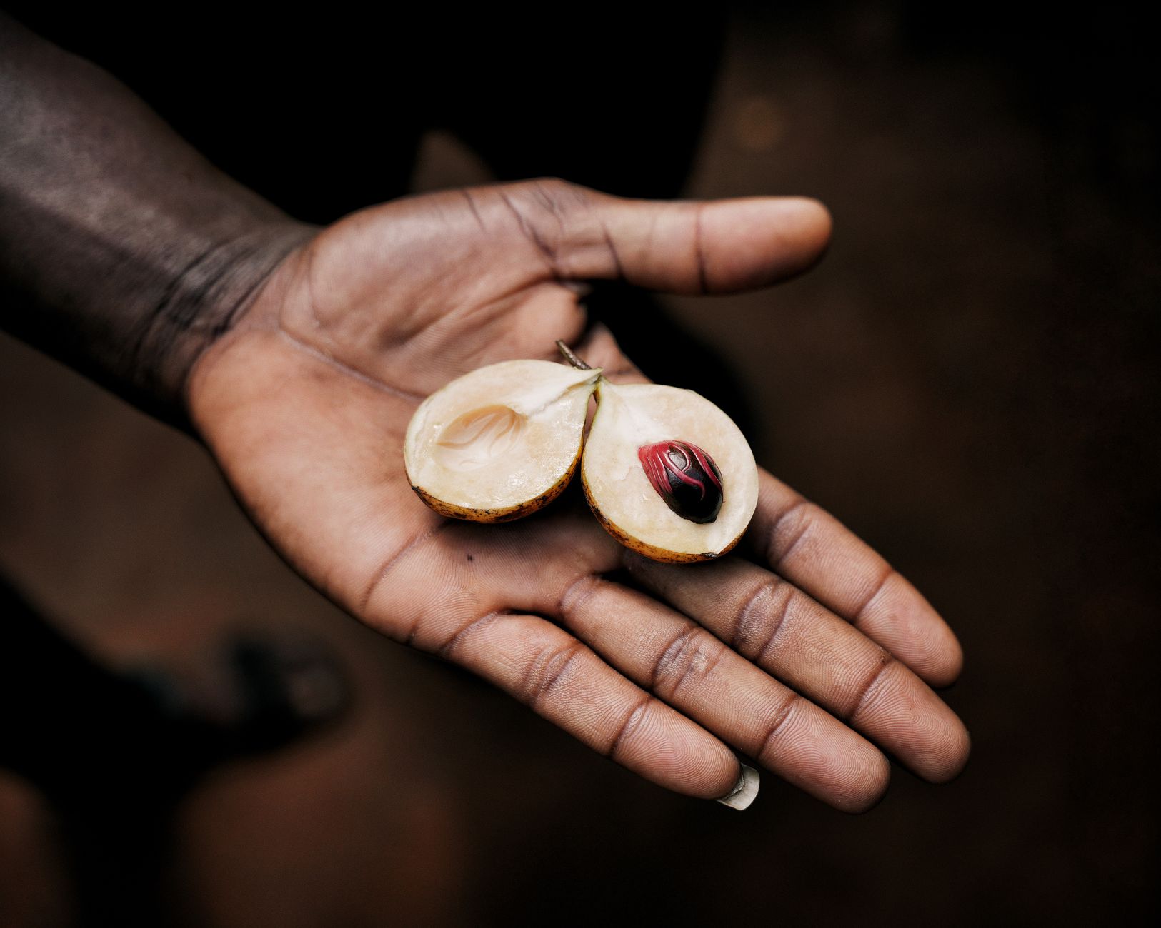 Global Nutmeg Market 2021–2031: Size, Share, Trends and Forecast — report cover