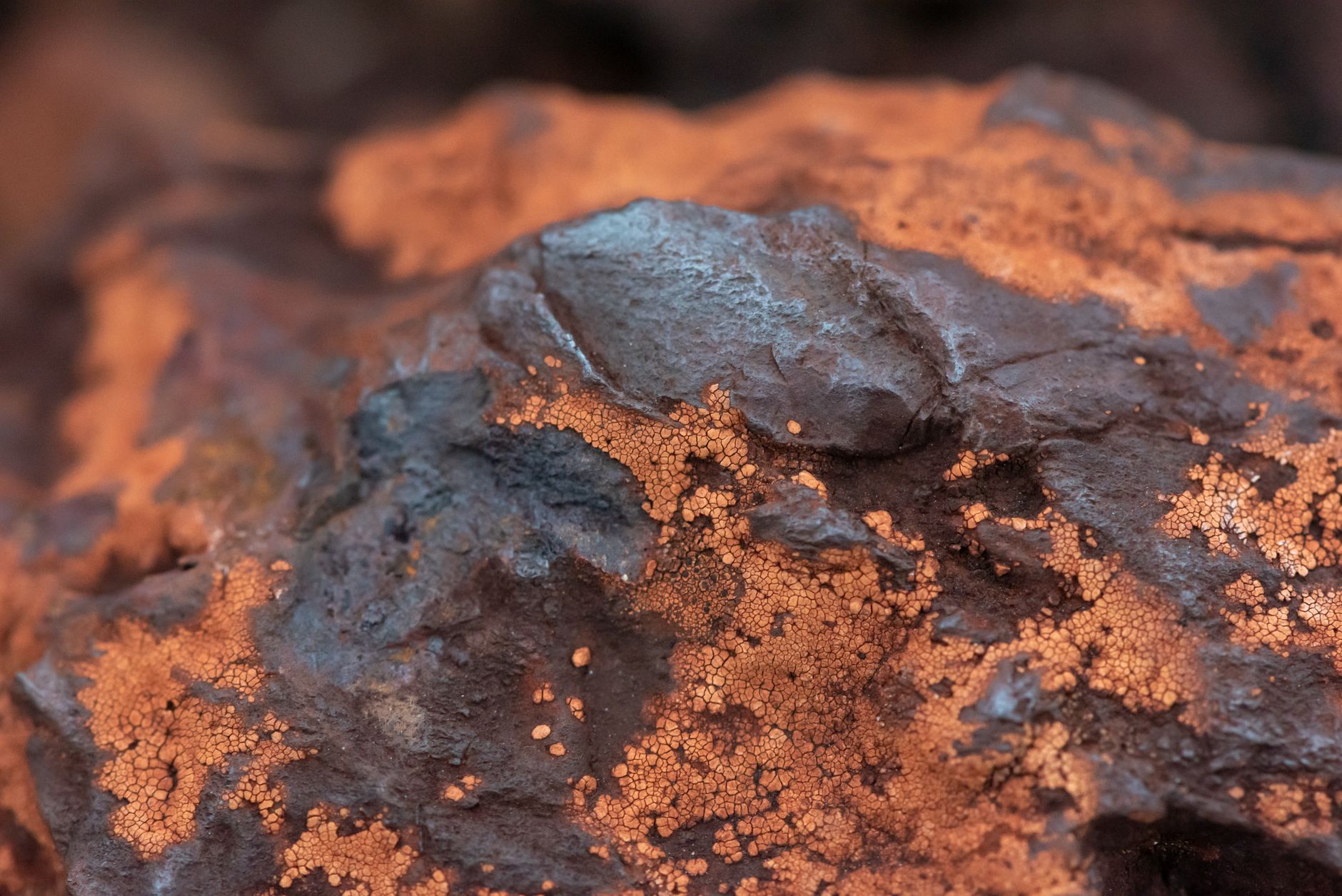 Global Zinc Oxide Market 2021–2031: Size, Share, Trends and Forecast — report cover