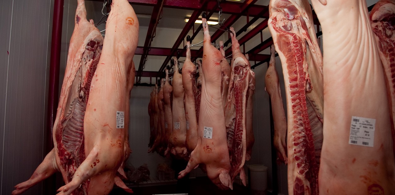 Argentiniens Schweinefleischexporte legen Anfang 2026 wertmäßig um 156,8% zu