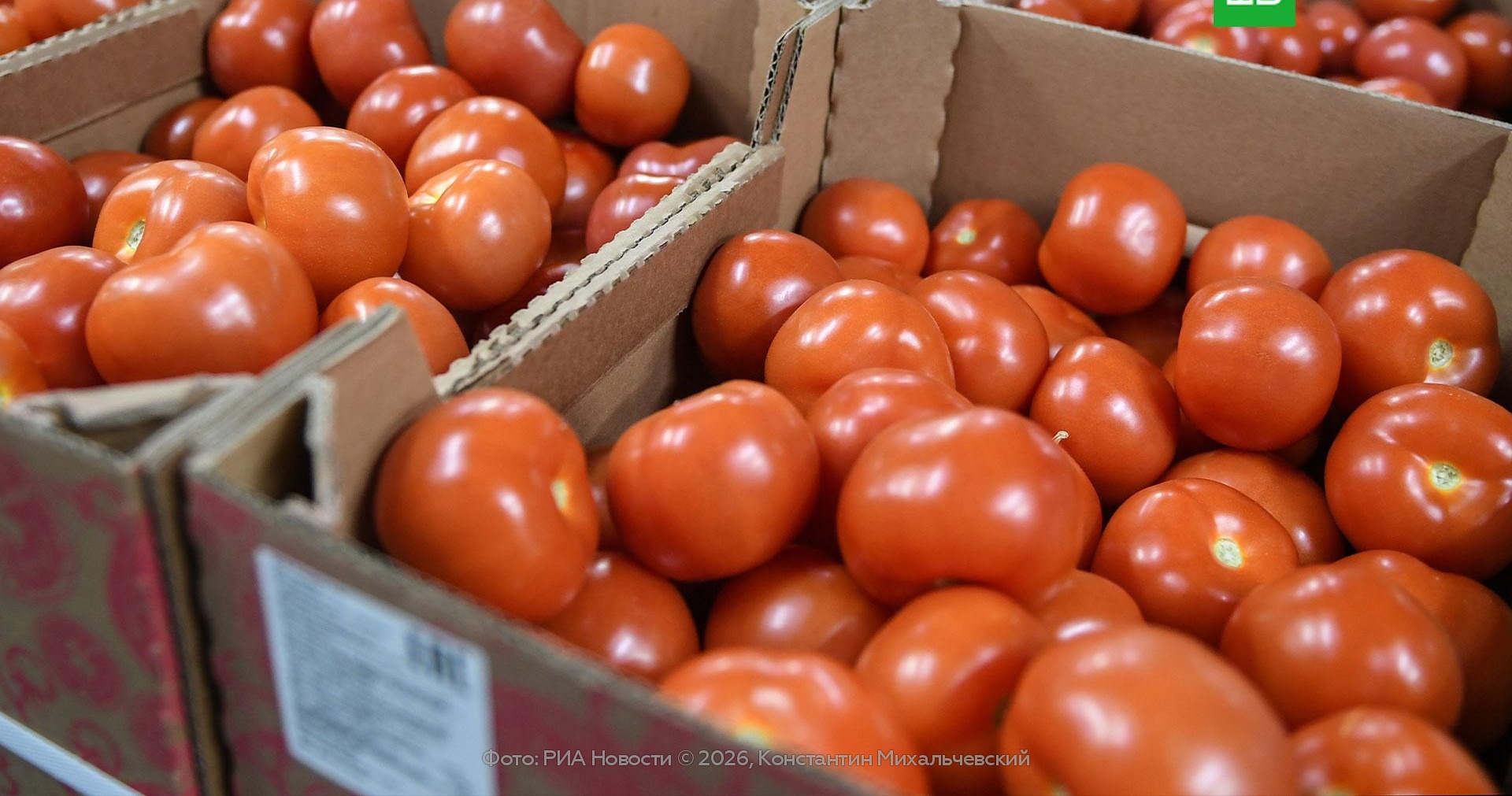 Armenian farmers block highway as tomato sales to Russia stall