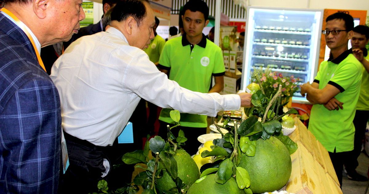 ASEAN exporters intensify competition with Vietnam in China’s fruit market