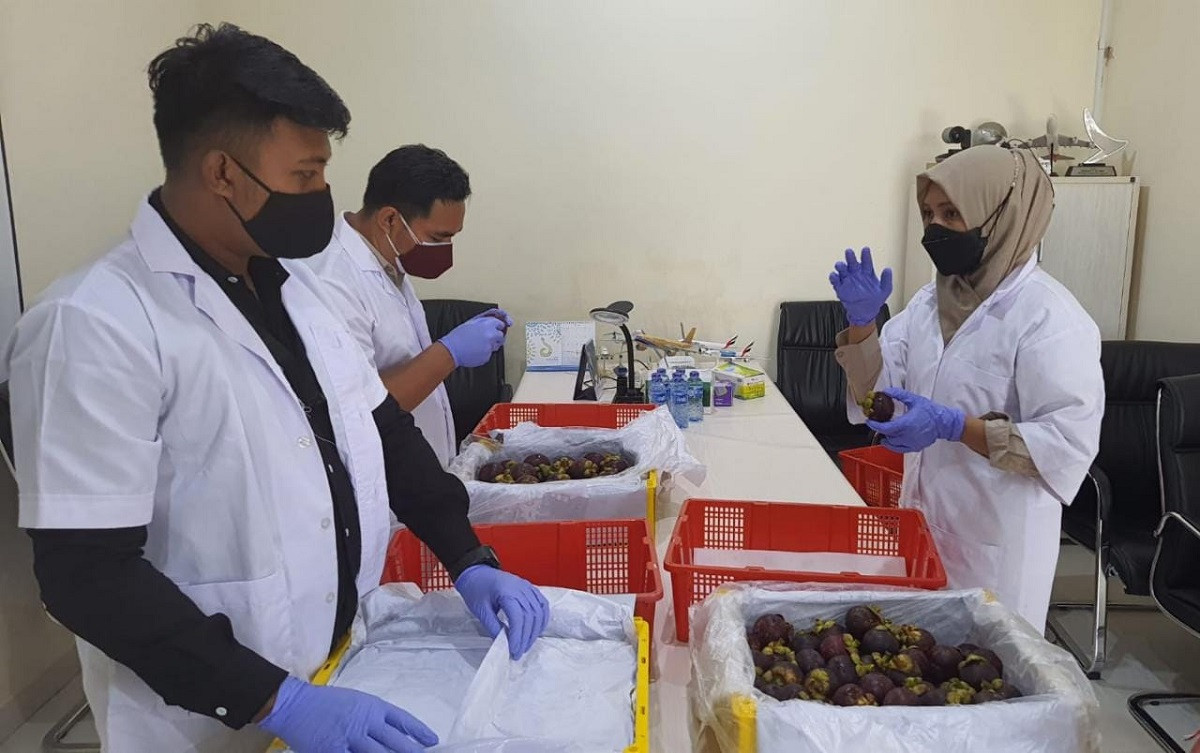Balinese salak shipments to Vietnam reach 2–5 tonnes a day amid quarantine concerns