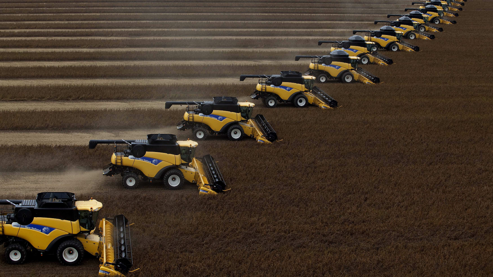 OECD-FAO: Brazil to hold 61% of soybean and 55% of sugar exports by 2035