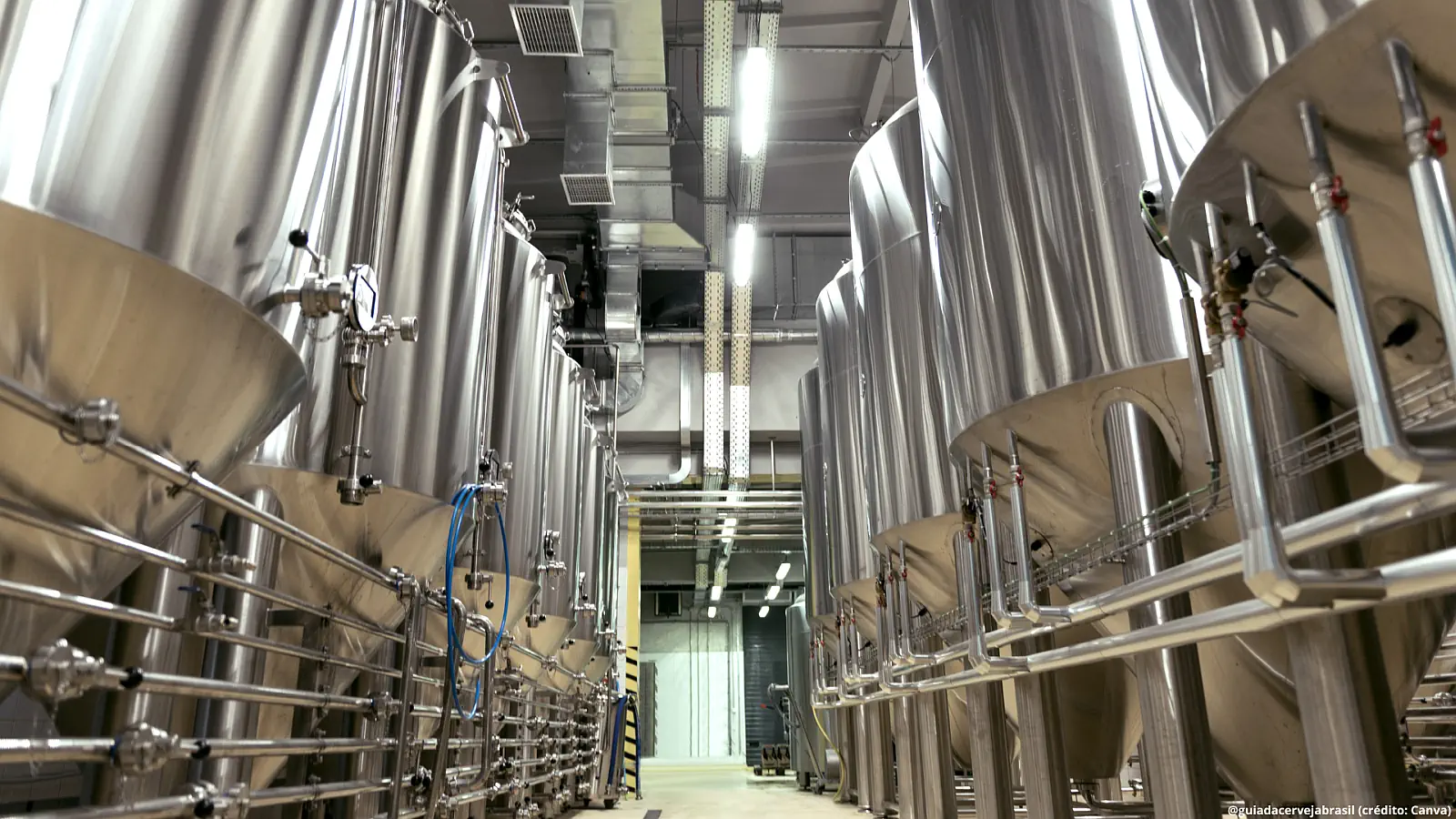 Brazil’s beer output rises 2.5% in 2025 as US production declines