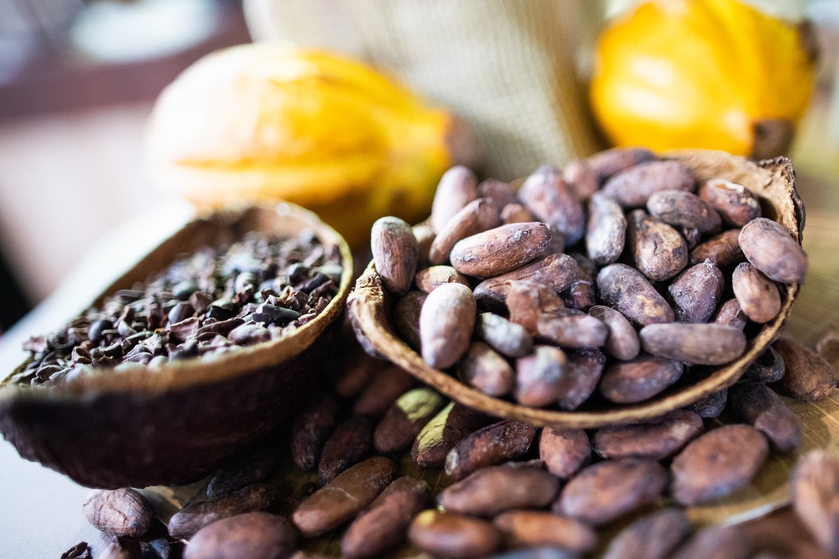 Brazil's Cocoa Bean Receipts Jump 63% in H1 2026, but Grinding Capacity Lags