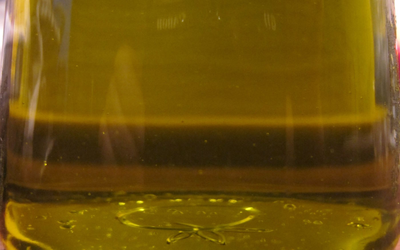 Brazil’s olive oil imports rise 40.5% as major markets gain 4.3%