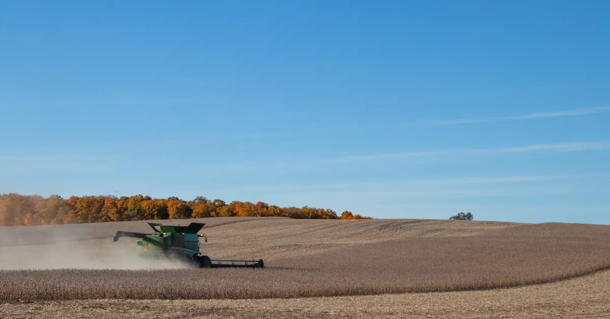 Brazil’s soybean exports projected to reach record 110 million tonnes in 2026/27