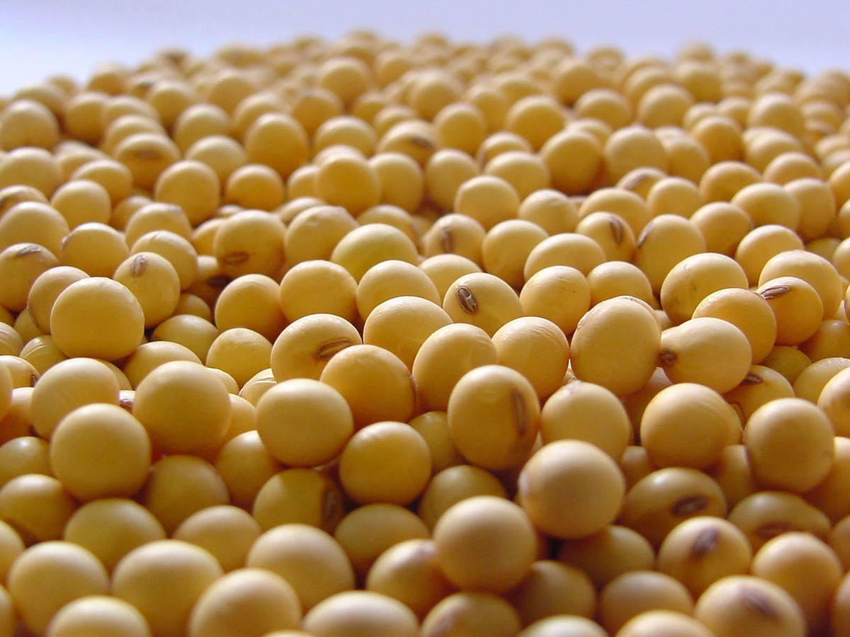 Les exportations brésiliennes de soja attendues en hausse de 7,5 % à 116,3 millions de tonnes