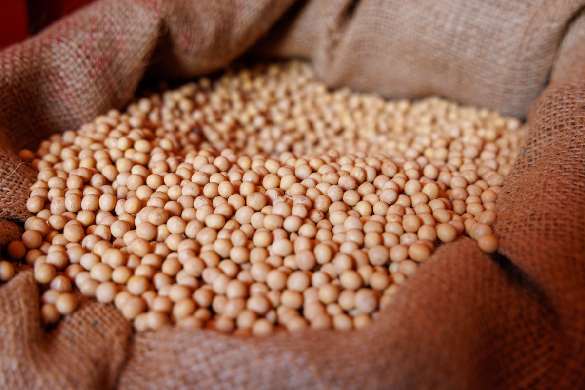 Brazilian soybean prices fall as international crude oil market slides