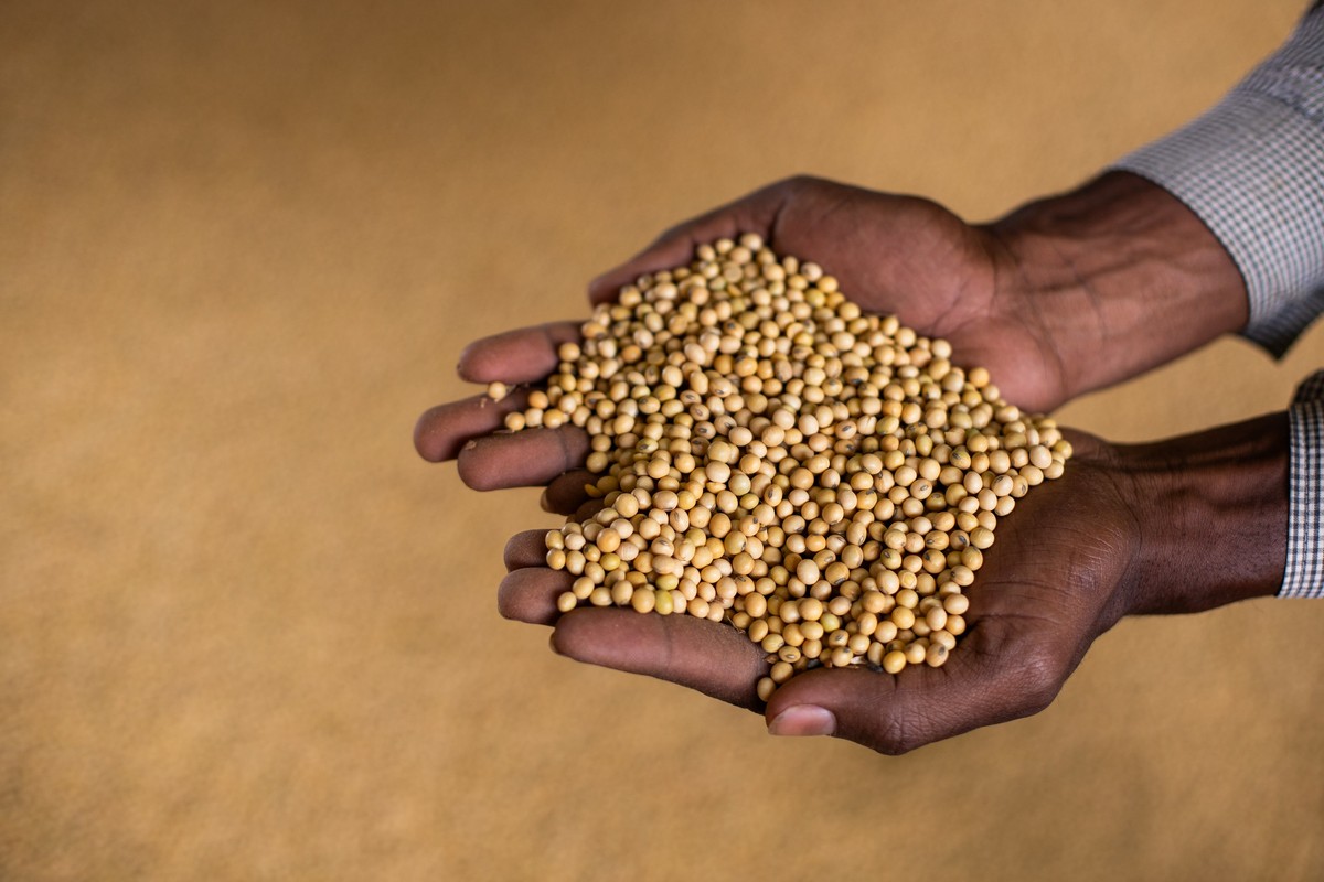 Brazilian soybean prices rise as firm demand supports Paranaguá benchmark