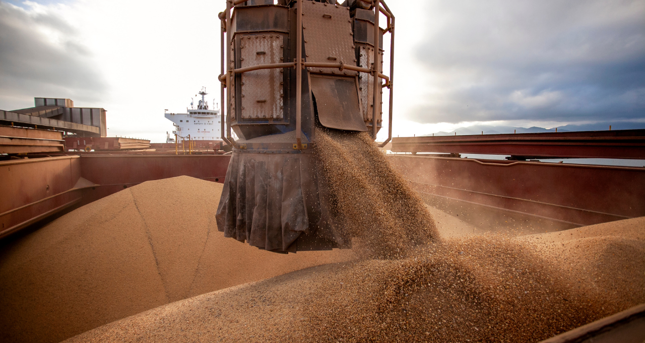 Brazil Sells 4 Million Tonnes of Soybeans in a Week as Prices Near Yearly Highs