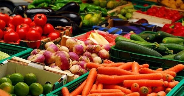 China Drives Surge in Vietnam's Fruit and Vegetable Exports in May