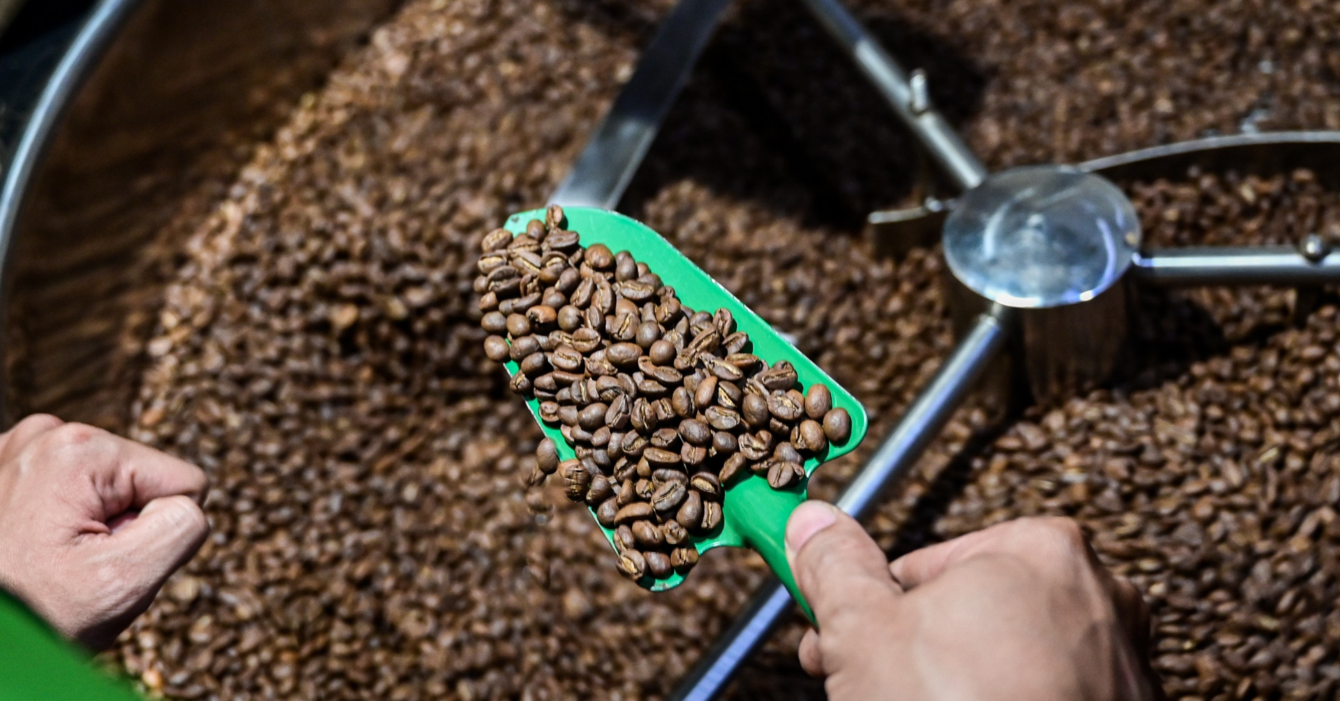 China becomes major buyer as Vietnam coffee exports hit $4.81bn in H1 2026