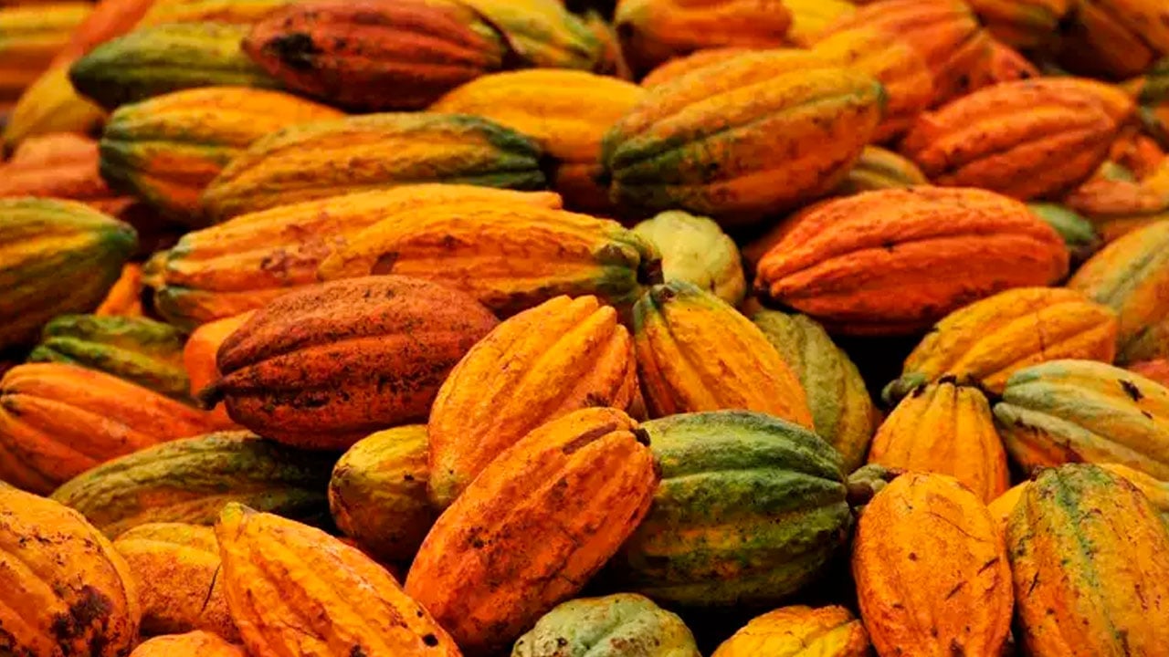 Cocoa futures ease on ICE as arabica coffee gains 1.3%