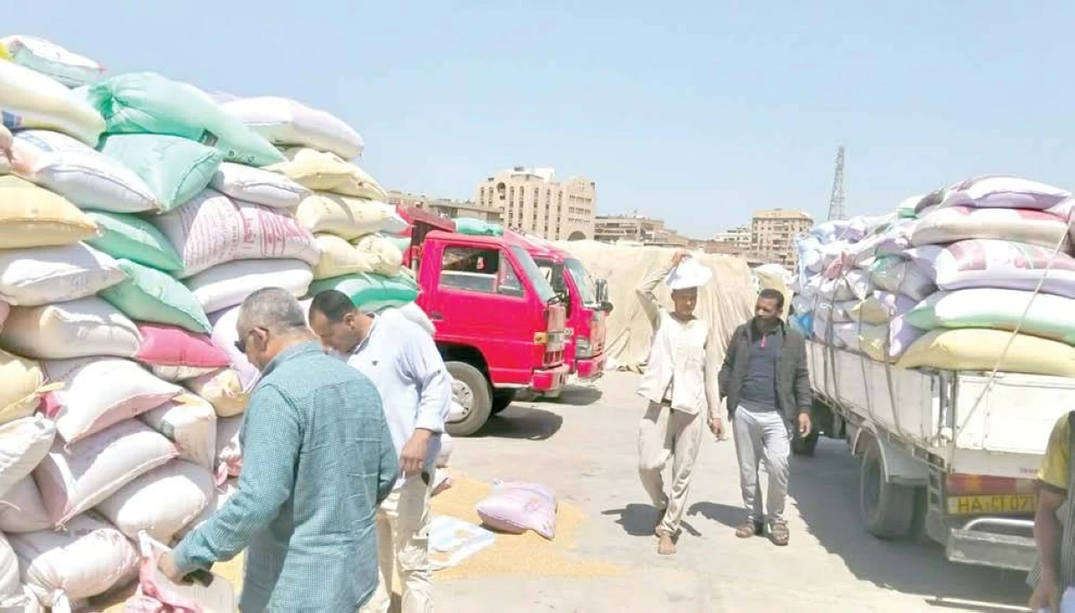 Egypt raises bread subsidy budget as wheat imports slow after early buying surge