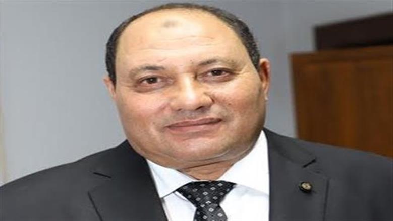 Egypt targets new poultry export markets as domestic output exceeds needs