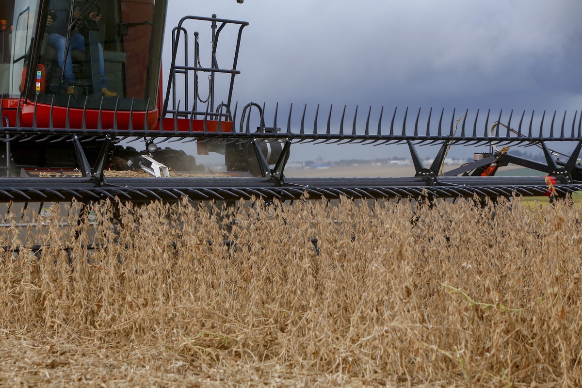 Study: El Niño could drive grain oversupply in Latin America