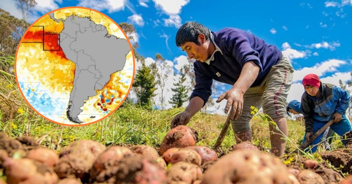 El Niño threatens Peru's crop and fishery output through mid-2027