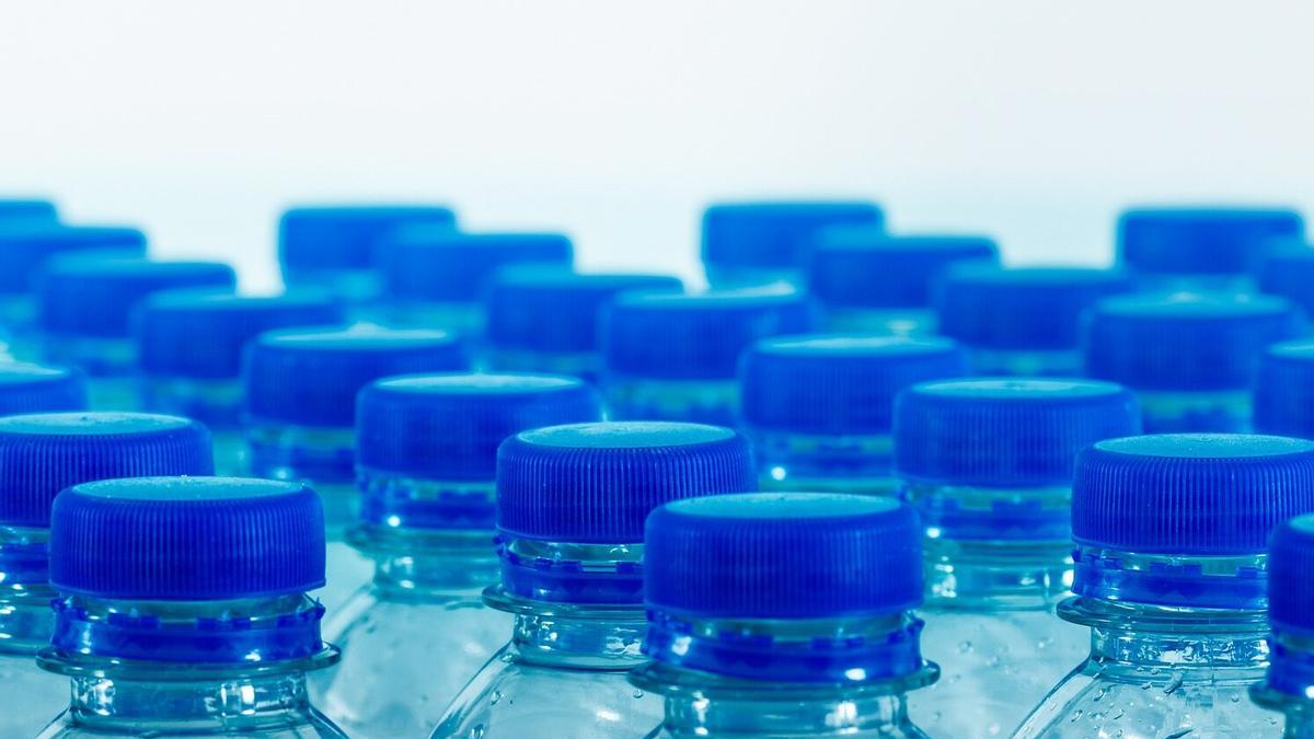 EU packaging rules push food-service suppliers toward redesign from 12 August