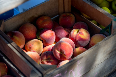 Larger European peach and nectarine harvest meets uneven demand and higher costs